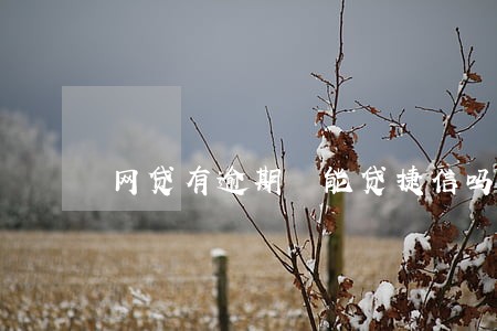 网贷有逾期 能贷捷信吗 网贷有逾期 能贷捷信吗